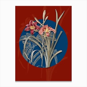 Vintage Botanical Orange Day Lily on Circle Blue on Red n.0054 Canvas Print