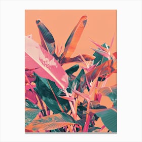 Tropical Plants 3 Canvas Print