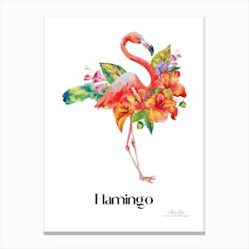 Flamingo. Long, thin legs. Pink or bright red color. Black feathers on the tips of its wings.13 Canvas Print