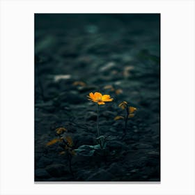 Single Yellow Flower 59 Canvas Print