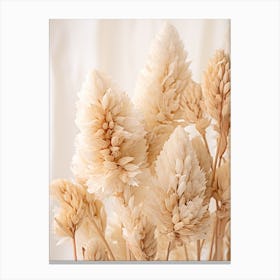 Boho Dried Flowers Celosia 6 Canvas Print