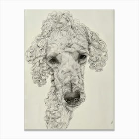 Poodle Dog Wavy Lines 3 Canvas Print