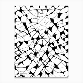 Abstract Black And White Pattern Canvas Print