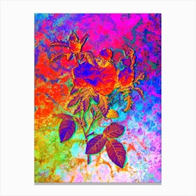 Cabbage Rose Botanical in Acid Neon Pink Green and Blue n.0350 Canvas Print