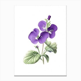 Violets Floral Quentin Blake Inspired Illustration 2 Flower Canvas Print