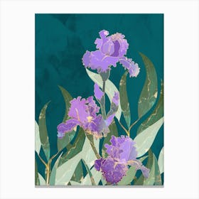 Purple Iris Canvas Print