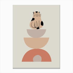 Cat Sitting On A Bowl Canvas Print