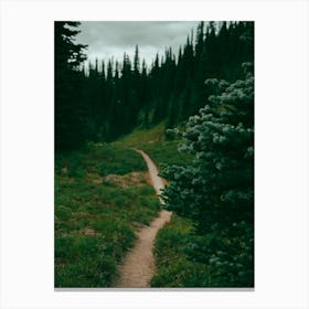 Green Forest Hiking Trail Canvas Print