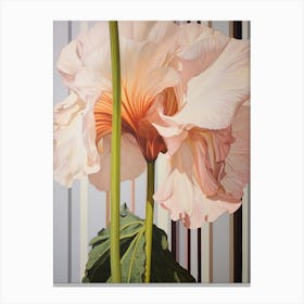 Flower Illustration Amaryllis 4 Canvas Print