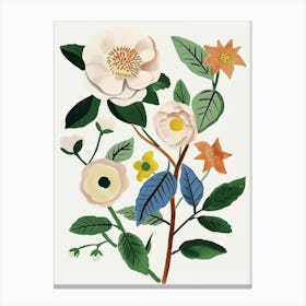 Painted Florals Camellia 3 Canvas Print