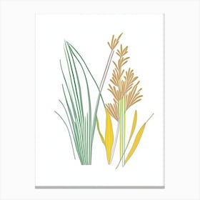 Lemongrass Spices And Herbs Minimal Line Drawing 2 Canvas Print