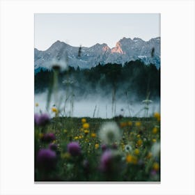 Flowers And A Sunrise In The Alps Canvas Print