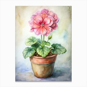 Pink Geraniums Canvas Print