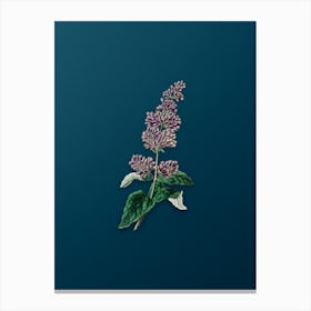 Vintage Lady Josika's Lilac Flower Botanical Art on Teal Blue n.0781 Canvas Print