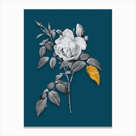 Vintage Fragrant Rosebush Black and White Gold Leaf Floral Art on Teal Blue n.0357 Canvas Print