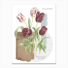 Tulipano Canvas Print