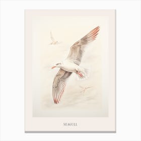 Vintage Bird Drawing Seagull 3 Poster Canvas Print