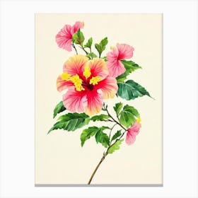 Hibiscus Vintage Flowers Flower Canvas Print