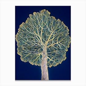 Life of the tree  Canvas Print