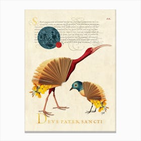 Book bird Canvas Print