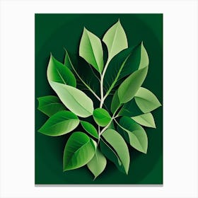 Oregano Leaf Vibrant Inspired 1 Canvas Print
