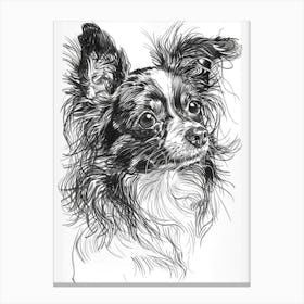 Papillon Dog Line Sketch 3 Canvas Print