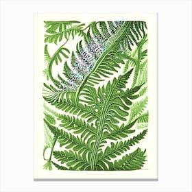 Pteris Fern 1 Vintage Botanical Poster Canvas Print