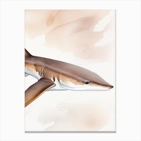 Epaulette Shark 4 Watercolour Canvas Print