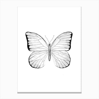 White Butterfly Canvas Print