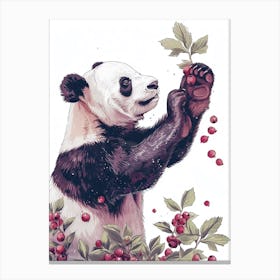 Giant Panda Standing And Reaching For Berries Storybook Illustration 4 Canvas Print