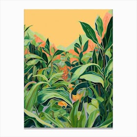 Boho Plant Painting Dracaena Lemon Lime 1 Canvas Print