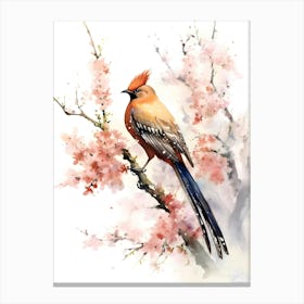 Golden Pheasant bird Canvas Print