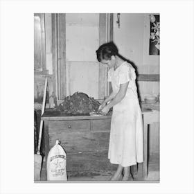 Mexican Woman Preparing Spinach, San Antonio, Texas, The Spinach Was A Part Of Her Relief Commodities By Russell Lee Canvas Print