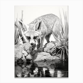 Fennec Fox Finds Water Pencil Drawing 1 Canvas Print