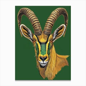 Head Of A Gazelle Canvas Print