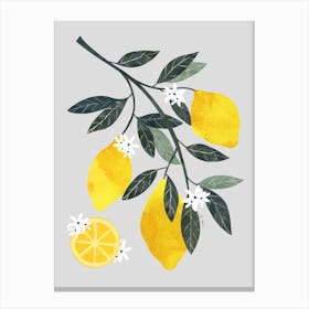 Lemon Branch 1 Toile