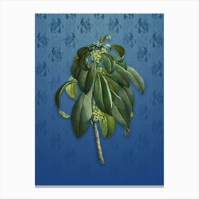 Vintage Spurge Laurel Weeds Botanical on Bahama Blue Pattern n.1515 Canvas Print