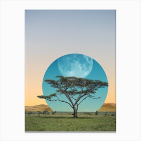 Moon Tree Canvas Print