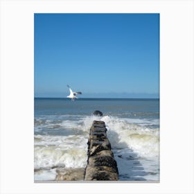 Seagull On Pier Canvas Print