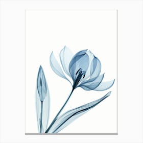 Blue Flower Canvas Print