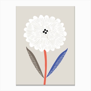 Chrysanthemum Flower Canvas Print