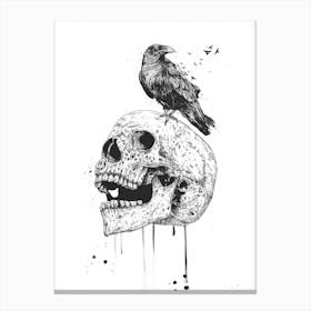 New skull (bw) Canvas Print