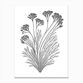 Caraway Herb William Morris Inspired Line Drawing 1 Canvas Print