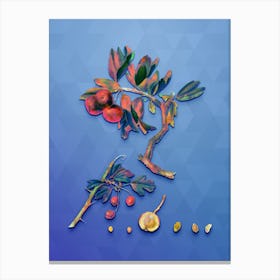 Vintage Red Thorn Apple Botanical Art on Blue Perennial Canvas Print