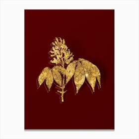 Vintage Yellow Buckeye Botanical in Gold on Red n.0422 Canvas Print