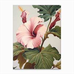 Floral Illustration Hibiscus 4 Canvas Print