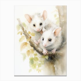 Light Watercolor Painting Of A Baby Possum 4 Canvas Print