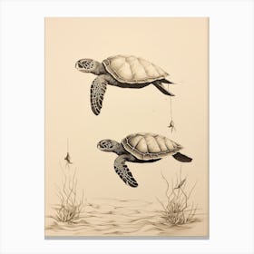 Vintage Sepia Sea Turtles Illustration Canvas Print