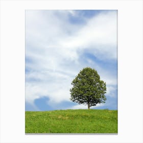 Lone Tree On A Hill 1 Canvas Print