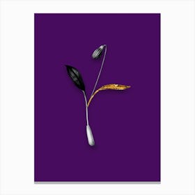 Vintage Erythronium Black and White Gold Leaf Floral Art on Deep Violet Canvas Print